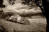 Glens homestead sepia
